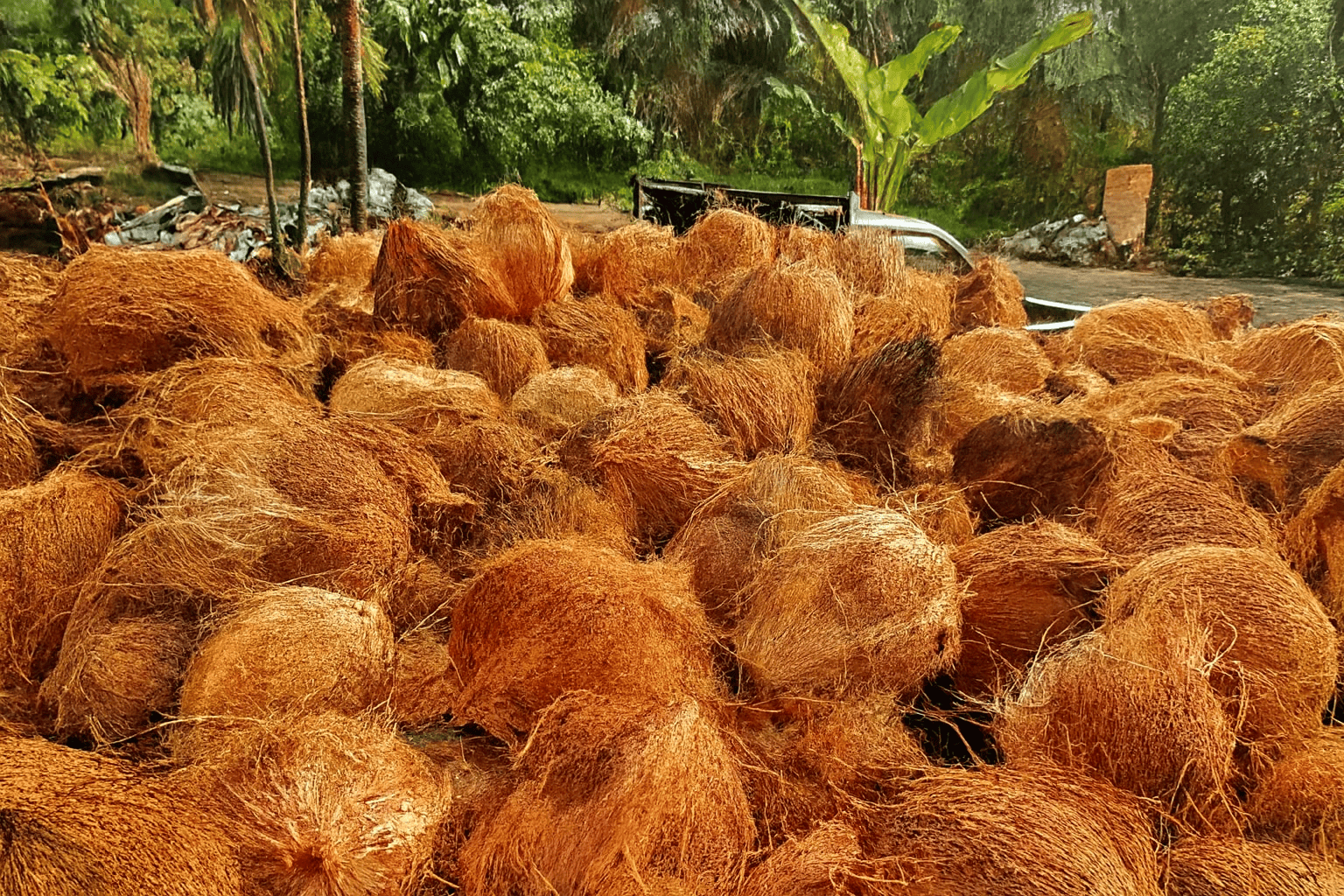 Hand holding wooden spoon with coffee beans