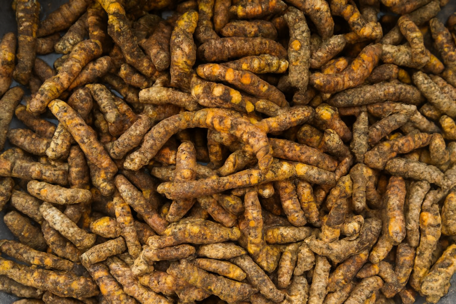 Hand holding wooden spoon with coffee beans